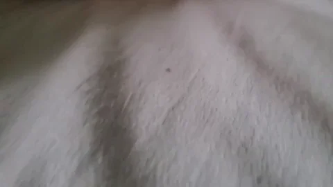 Thick BBW MiltankMama Cums Hard on Pink Vibrator GIF 🔥🍑💦