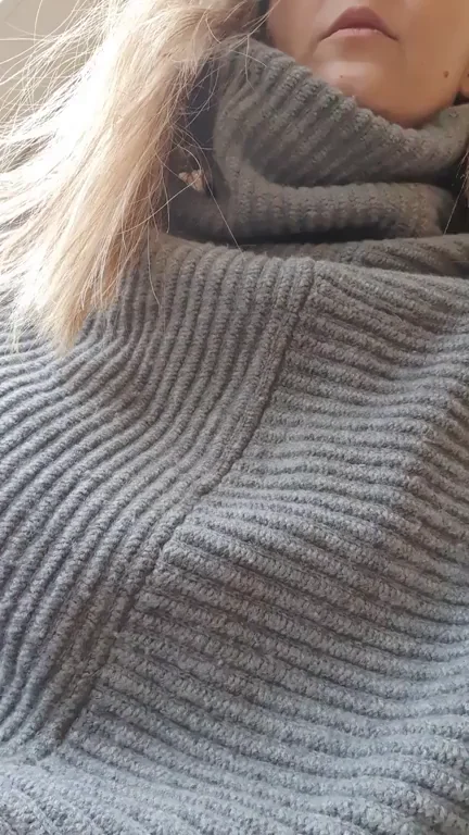Sweaters hide the darndest things (oc)(f)