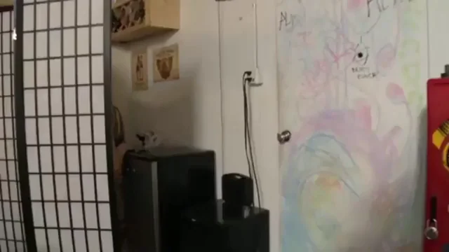 Hey, don't film us … ah, whatever …