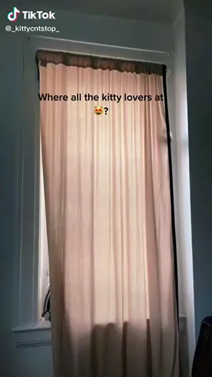 Heeyyyyy