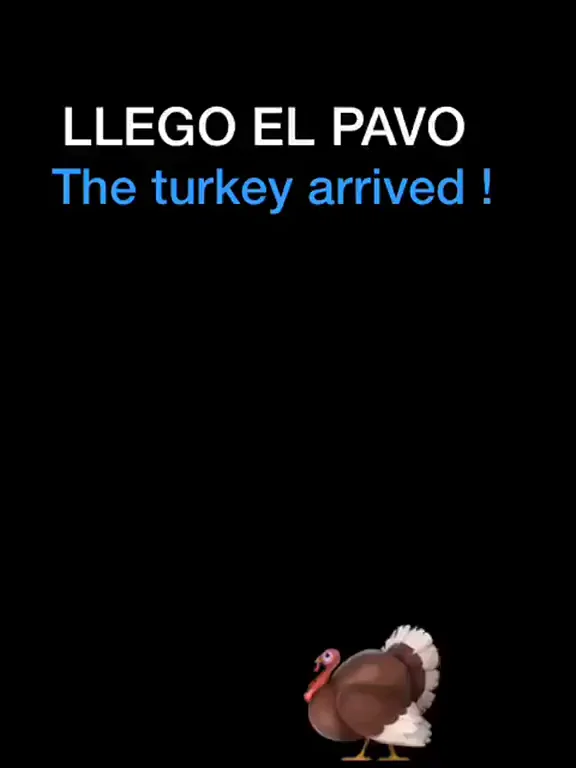 🍗 Turkey Delivery: POV Pussy Tease & Poke 🦃💦