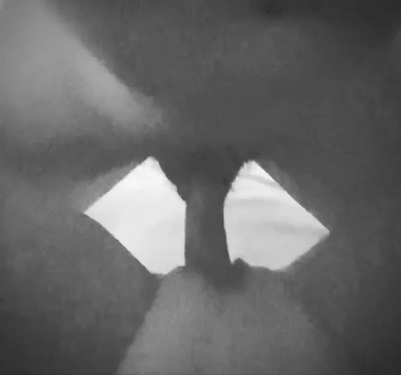Night vision film noir that I call “Ramp it up Romp”