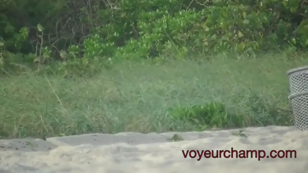 A smokin' hotwife meets up with a hung BBC bull at the nude beach and fucks him bareback in the back seat of her car (public exhibitionist). Click on the sauce link in comments to watch them walking hand-in-hand for the world to see