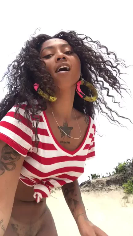 Public Beach Tease: Catch Me Flashing My Wet Ebony Pussy!
