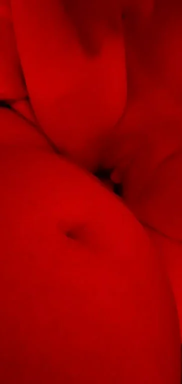Some anal fun from last night?