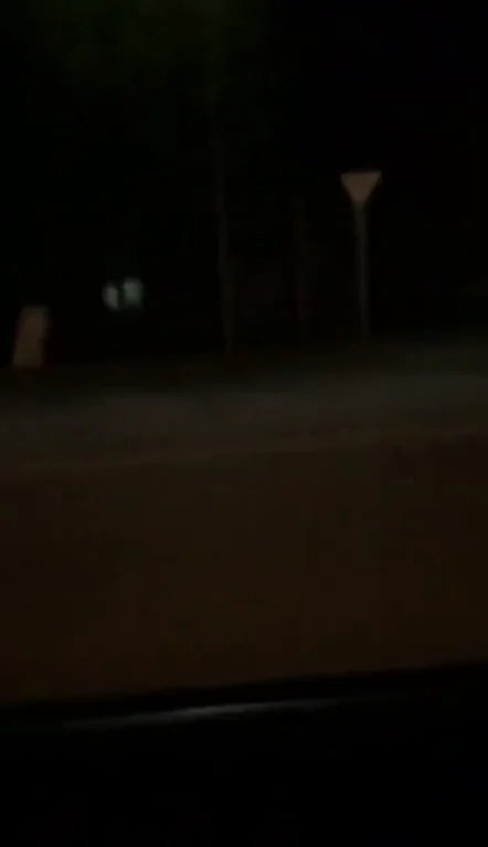 Pure dedication