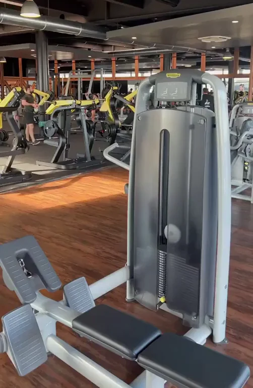 I wonder how many of the guys in the gym would fuck me.
