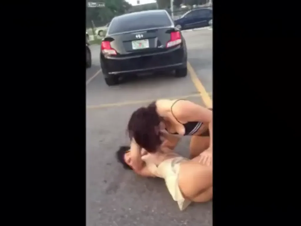 Catfight