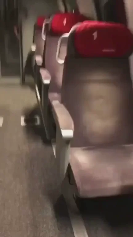 First Class Train Slut 🚂💦 Blonde MILF Gets Pounded