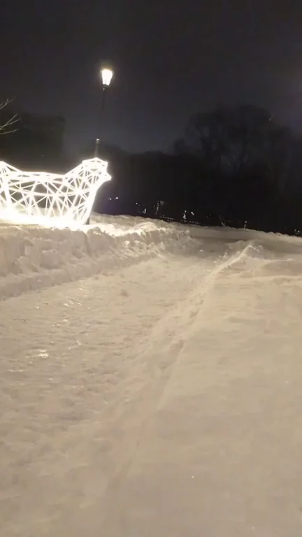 [M] Walking naked in winter in a public park