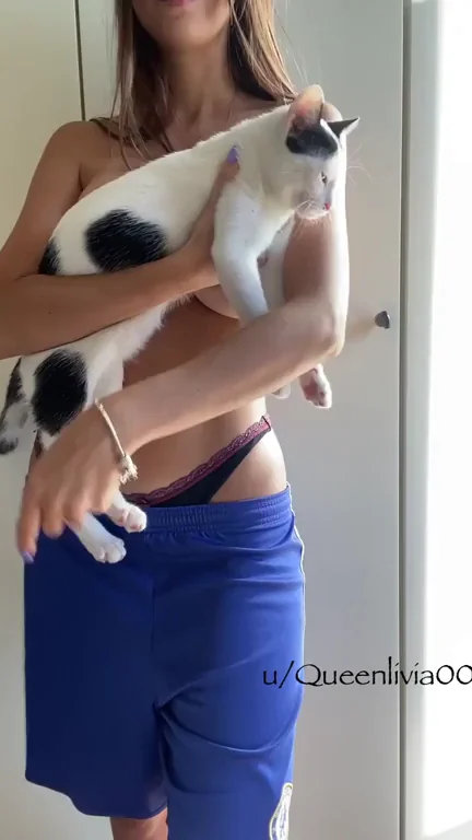 Cat on or cat off?