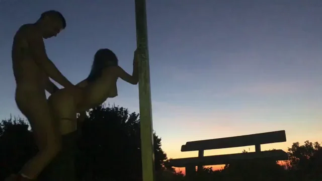 Moonlit Moans: Asian Hottie Grips Pole While Stud Pounds Her Slutty Curves at Dusk