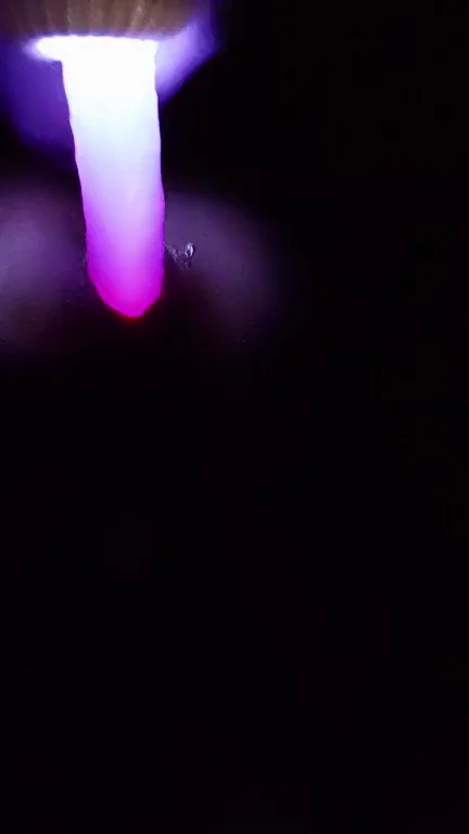 Like the light show?
