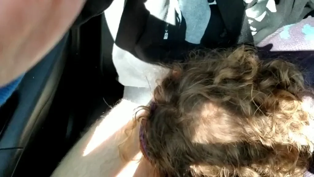 Curvy Slut's Risky Road Head Quickie in Traffic