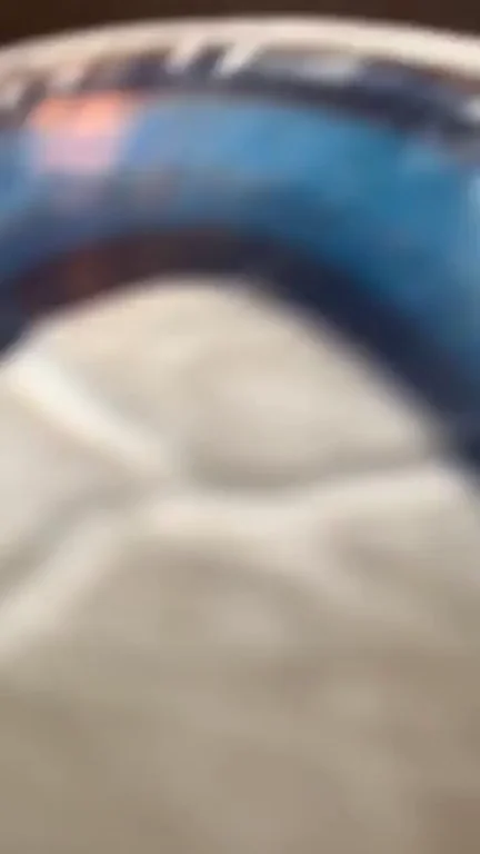 would you cum on this mayflower???