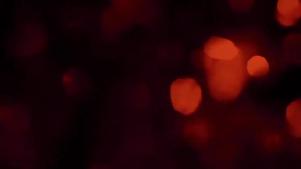 Fishnet Hairy Pussy Pussy Licking Porn GIF by egate14