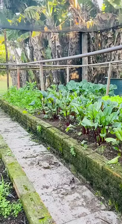 Just taking care o[f] my planting
