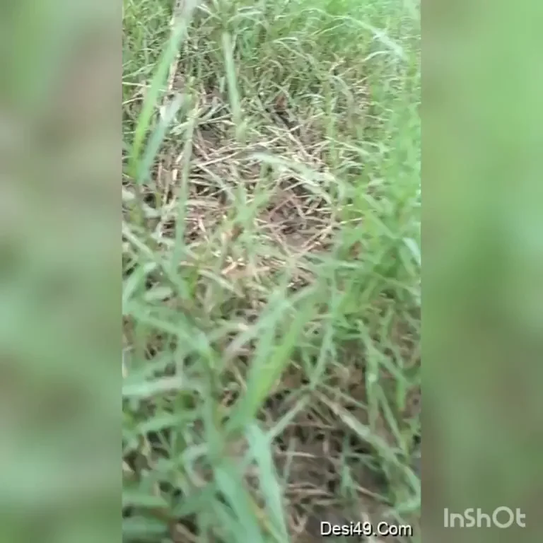 🔥 BF Pounds GF's Juicy Pussy by the Car 🚗💦