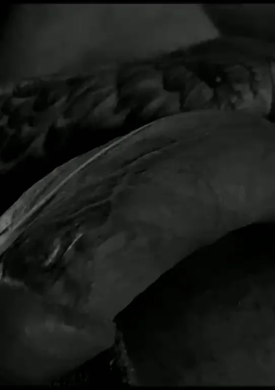 Thick BWC, noir. Tell me, what is on your mind.