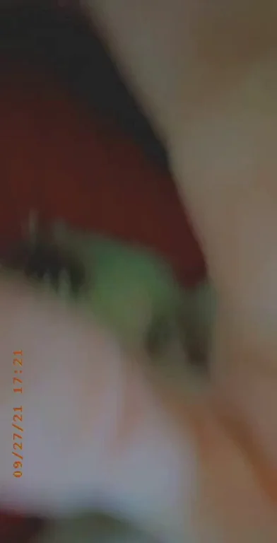 Big Dick Cock Cum Cum In Mouth Sucking Porn GIF by youngboybigtoy