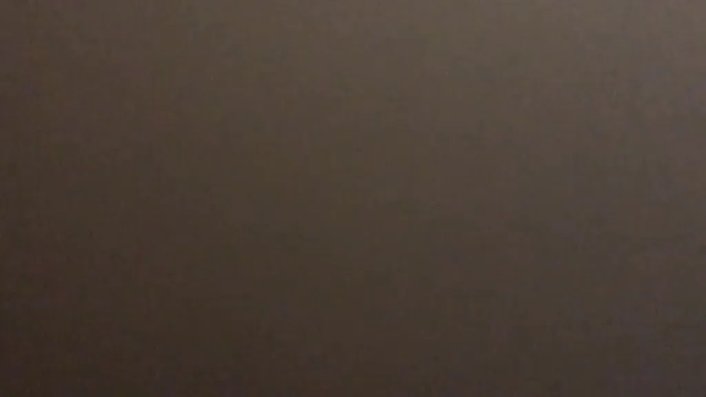 Cowgirl Latina Riding In her bodysuit
