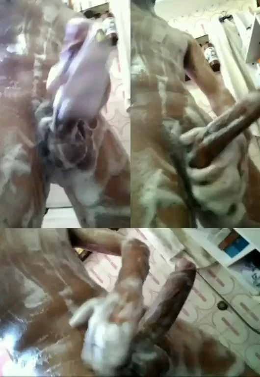 🩲 Rate My Soapy Cock 1-10? 💦