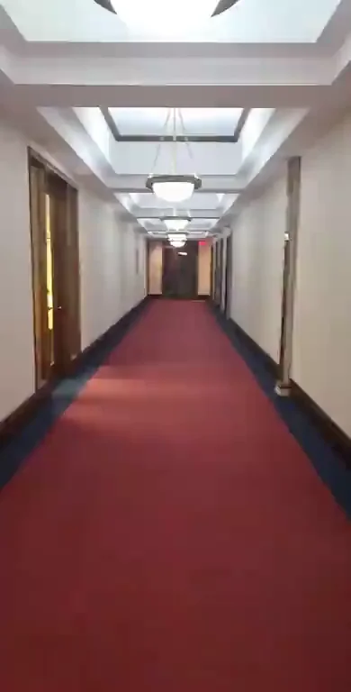 Hallway Titties... [GIF][OC]