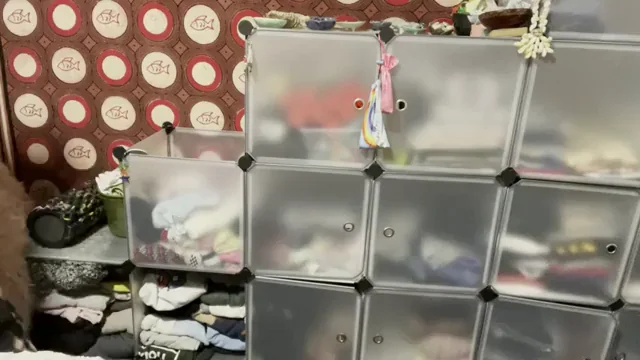 Oopsies didn’t see ya there!?