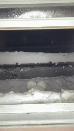 Is a snowy surprise too much for my first post here? ???