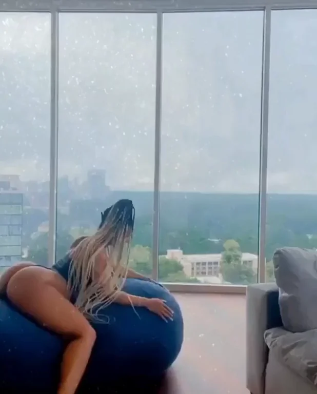 Ass Porn GIF