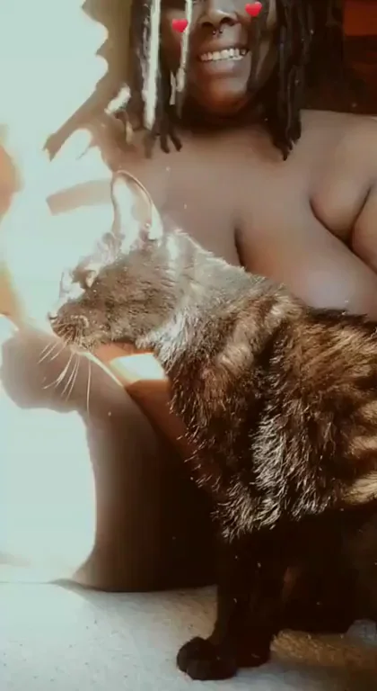 "You thought you were gonna take pics? That's funny. Pets. MEOW."