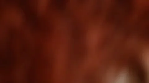 Suck Me Nicely
