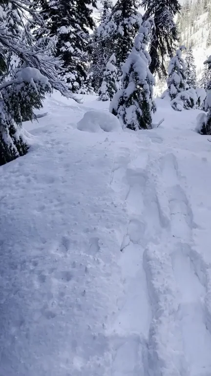 Snow blow ?? DM’s open