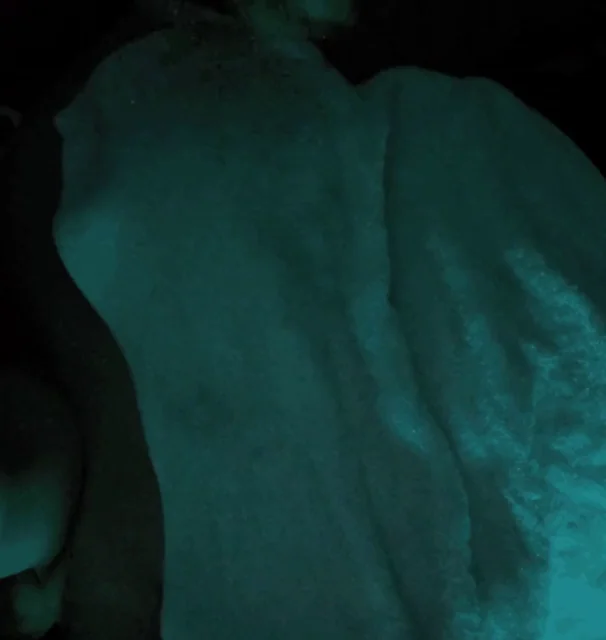 Quickie Titty Drop Reveal 😍💦 Late Night Boob Bounce!