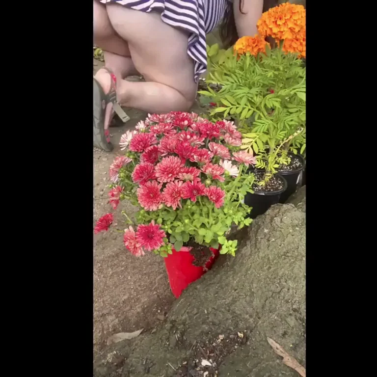 Give me a hand in the garden? :)