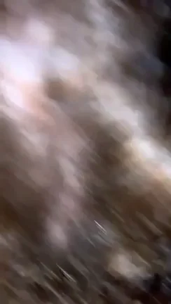 IMG 5631 Porn GIF by cement2296