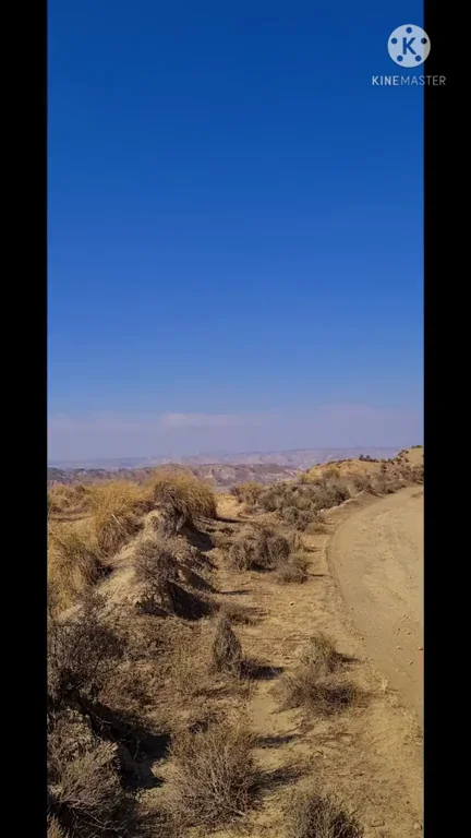 🍰 Dessert in the Desert? Wouldya Fuck My Hot Wife? 🏜️💦