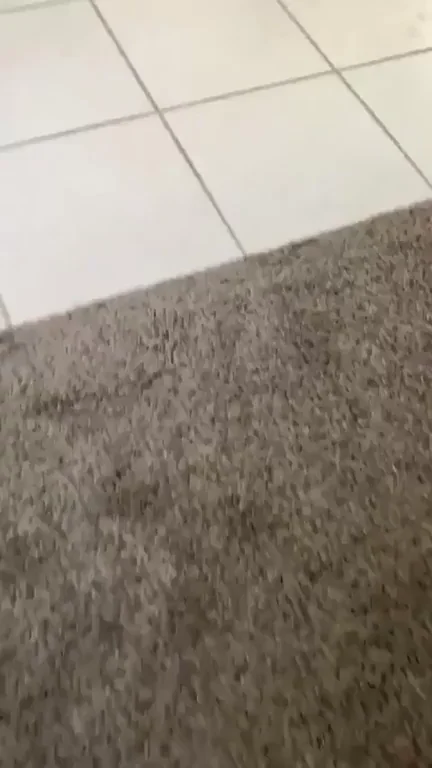 Booty and Bacon