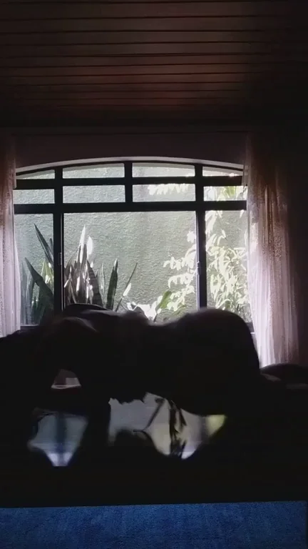 Silhouetted Seduction: Hypnotizing Asian Hottie in Shadow Play