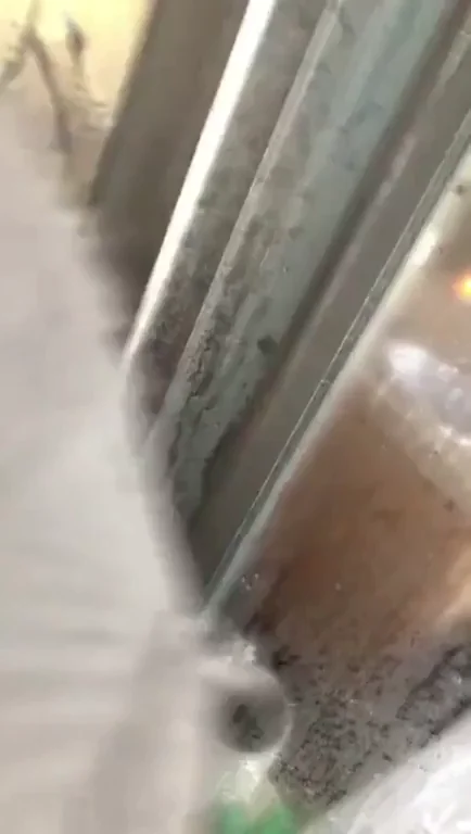 Bj in the shower