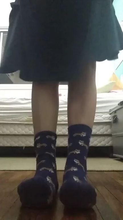 Did you like my corgi socks?