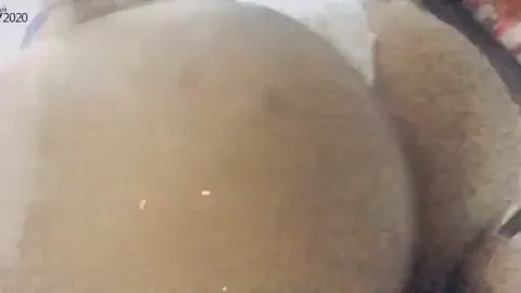 I suck at ass shots