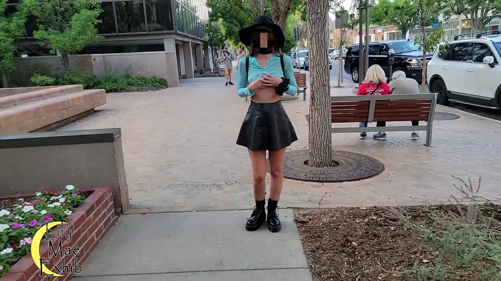 Tits out on a stroll through the shopping district. I hope nobody minded!