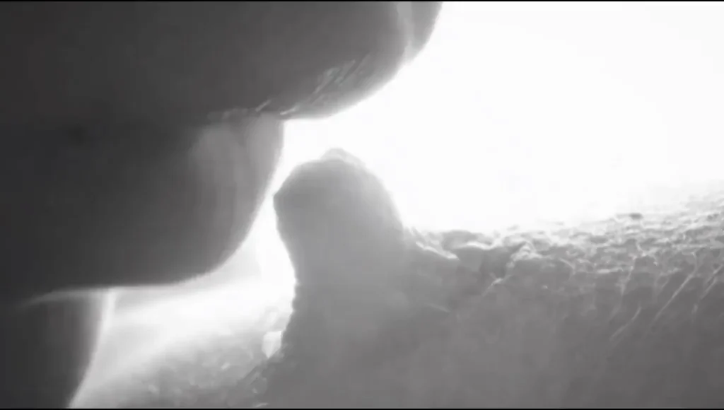 Alexis Crystal Amaris Bed Sex Blonde Close Up Erect Nipples Fingering Lesbian Lesbians Lick Licking Lingerie Natural Natural Tits Nipple Nipple Play PMV Pussy Pussy Eating Pussy Licking Porn GIF by uxizix