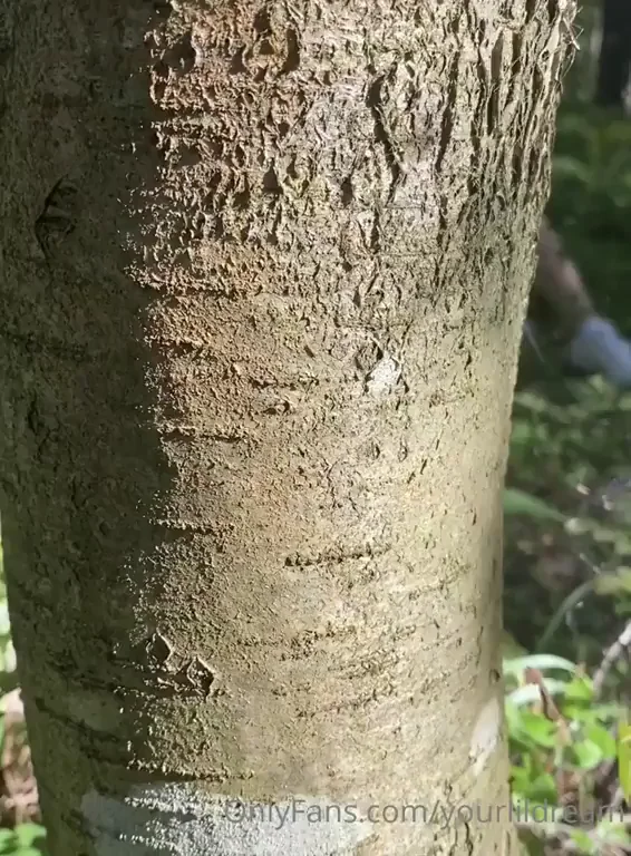 🌿 Wild Forest Slut Fingers Her Juicy Pussy 🍑💦