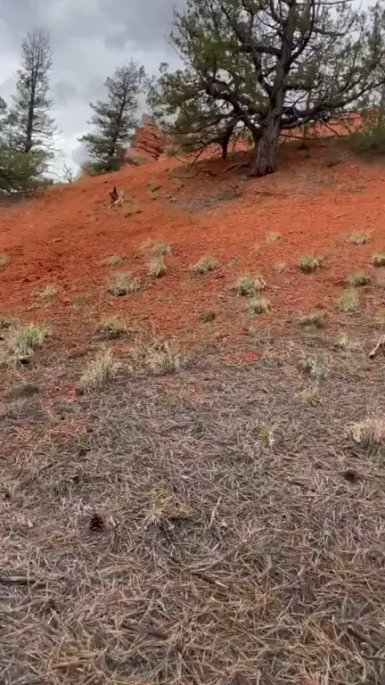 Some National Park fun. ?
