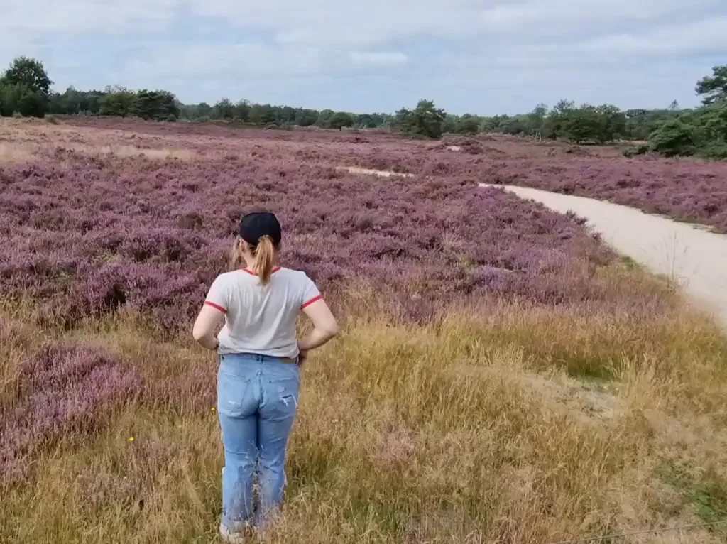If only I had someone to enjoy this beautiful scenery with