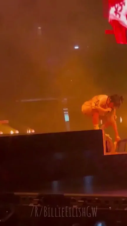 Billie picking up a fan’s bra while performing