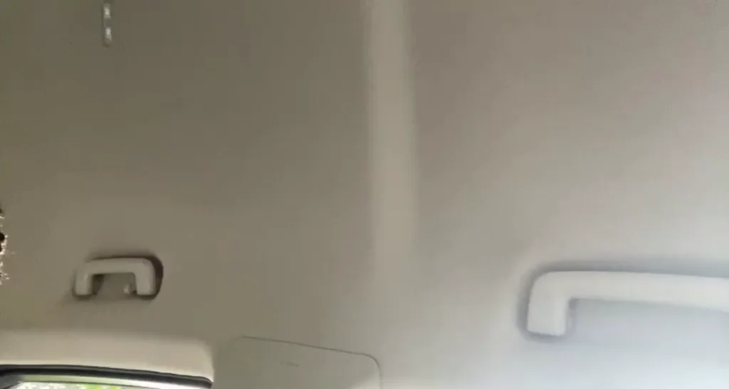 BF Passed Out Post-Park Fuck, My Pussy Still Dripping and Craving More