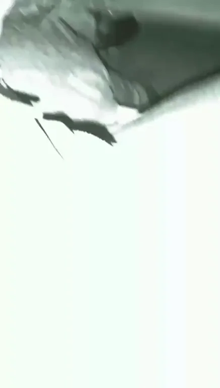Slutty Deepthroat Cock Worship